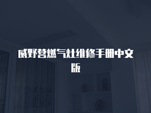威野營燃氣灶維修手冊中文版