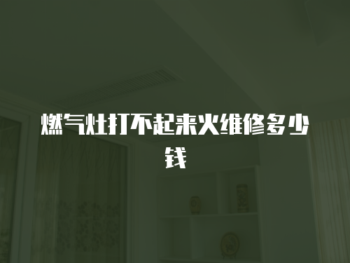 燃氣灶打不起來火維修多少錢