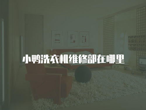 小鴨洗衣機維修部在哪里