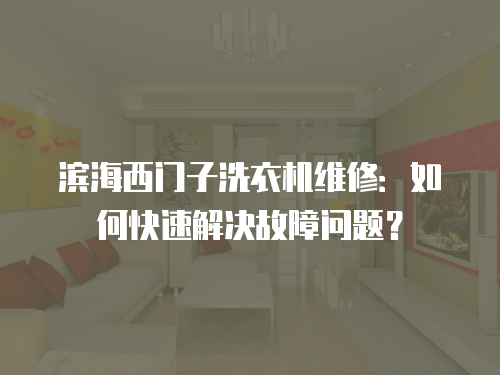 濱海西門子洗衣機維修：如何快速解決故障問題？