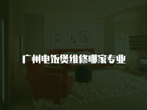 廣州電飯煲維修哪家專業(yè)