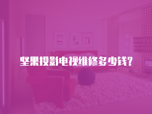 堅果投影電視維修多少錢？