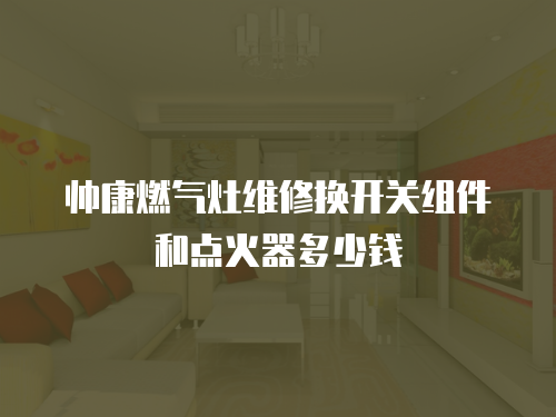 帥康燃氣灶維修換開關組件和點火器多少錢