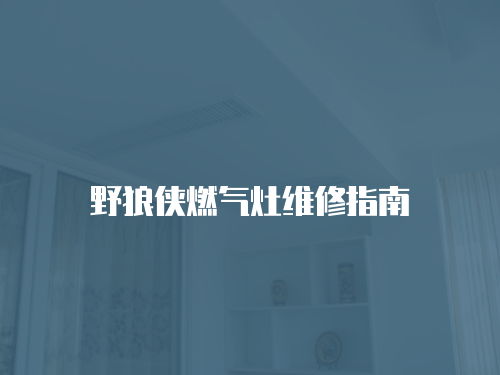 野狼俠燃氣灶維修指南