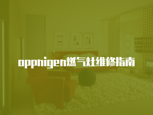 oppnigen燃氣灶維修指南