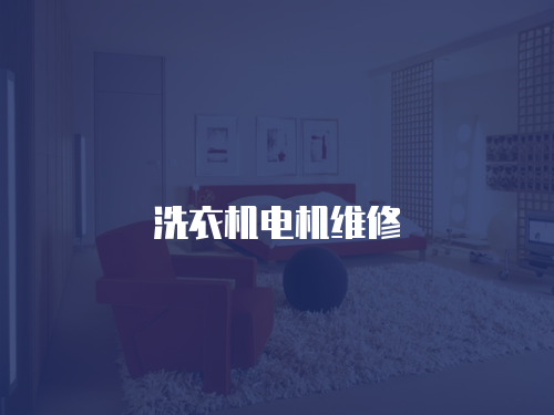 洗衣機電機維修