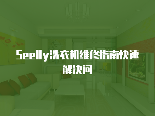 Seelly洗衣機維修指南快速解決問