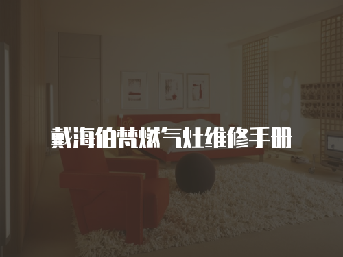 戴海伯梵燃氣灶維修手冊