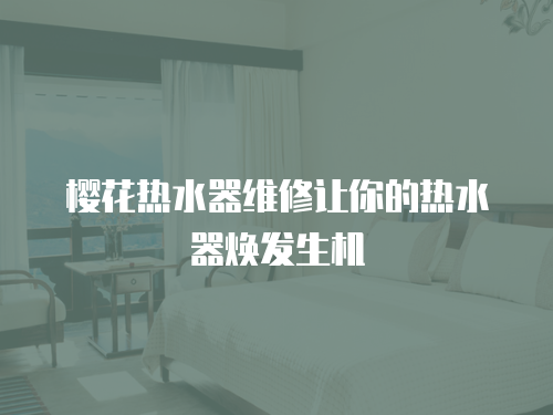 櫻花熱水器維修讓你的熱水器煥發生機