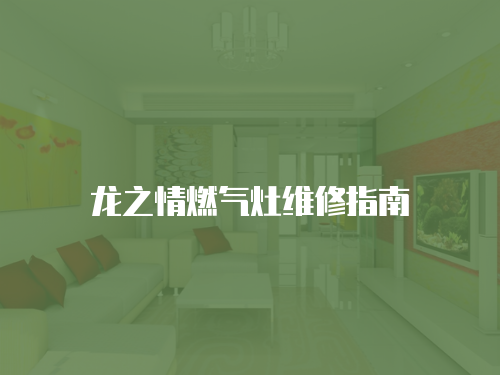 龍之情燃氣灶維修指南