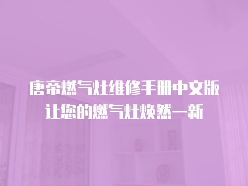 唐帝燃氣灶維修手冊中文版讓您的燃氣灶煥然一新