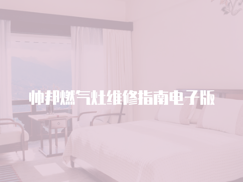 帥邦燃氣灶維修指南電子版