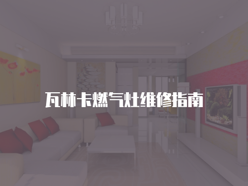 瓦林卡燃氣灶維修指南