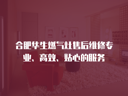 合肥華生燃氣灶售后維修專業、高效、貼心的服務