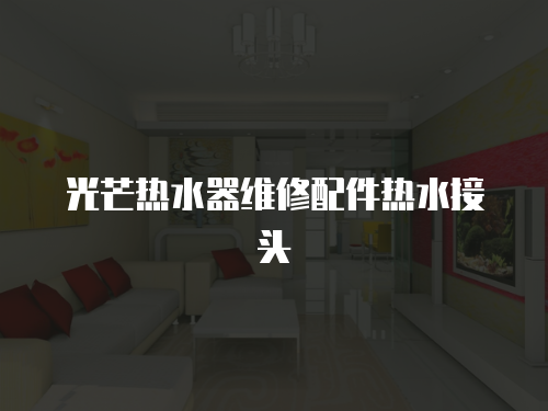 光芒熱水器維修配件熱水接頭