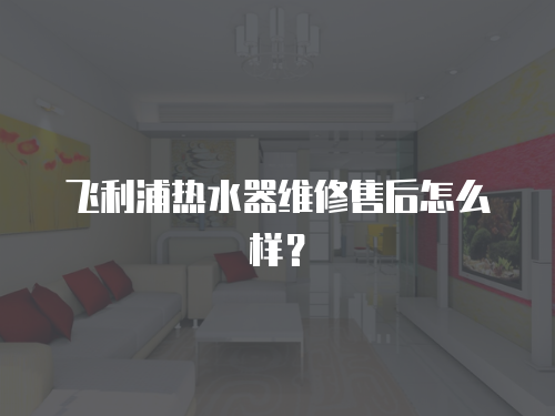 飛利浦熱水器維修售后怎么樣？