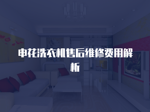 申花洗衣機售后維修費用解析