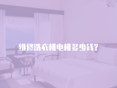 維修洗衣機電機多少錢？