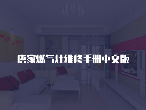 唐家燃?xì)庠罹S修手冊中文版