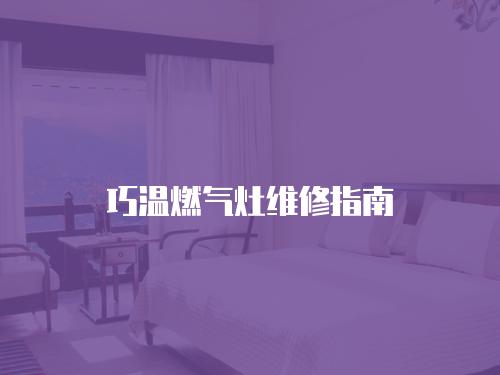 巧溫燃?xì)庠罹S修指南