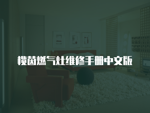 欖茵燃氣灶維修手冊中文版