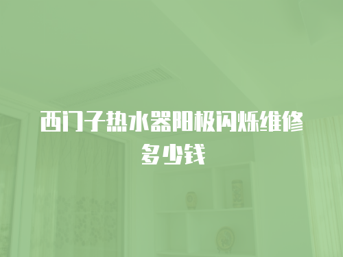 西門子熱水器陽極閃爍維修多少錢