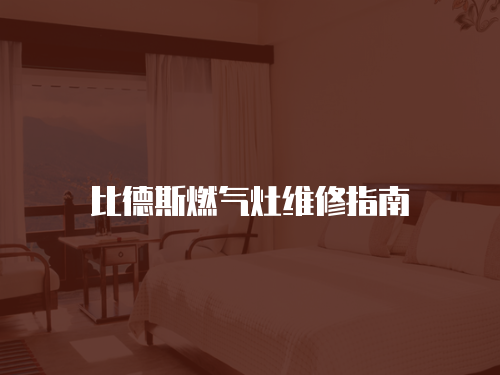 比德斯燃氣灶維修指南