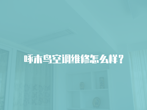 啄木鳥空調維修怎么樣？