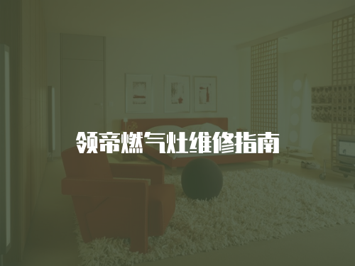 領(lǐng)帝燃氣灶維修指南