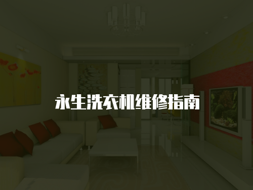永生洗衣機維修指南