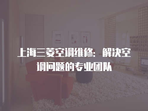 上海三菱空調維修：解決空調問題的專業(yè)團隊