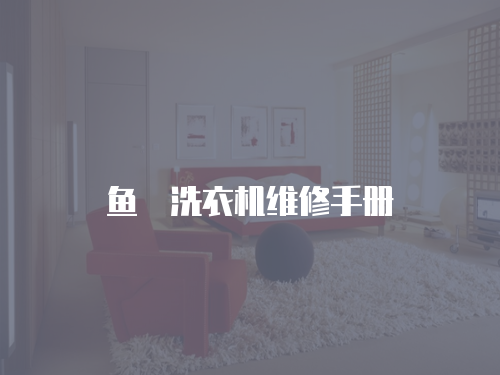 魚玥洗衣機維修手冊
