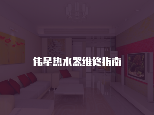 偉星熱水器維修指南
