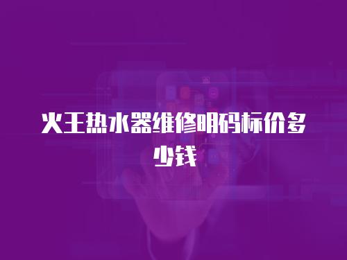 火王熱水器維修明碼標價多少錢