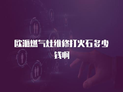 歐派燃?xì)庠罹S修打火石多少錢啊
