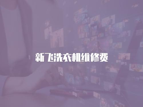 新飛洗衣機維修費