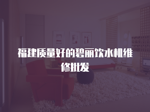 福建質(zhì)量好的碧麗飲水機(jī)維修批發(fā)