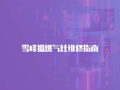 雪峰狐燃氣灶維修指南