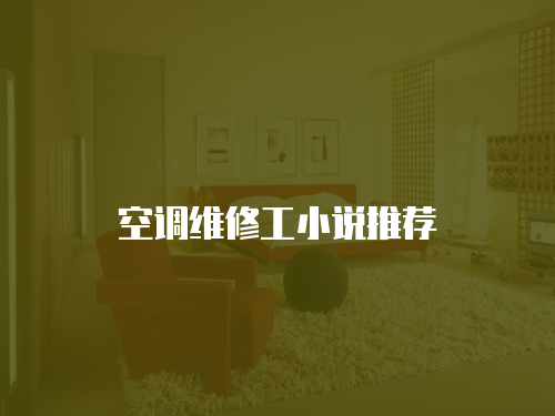 空調(diào)維修工小說推薦