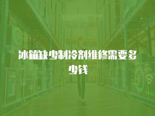 冰箱缺少制冷劑維修需要多少錢