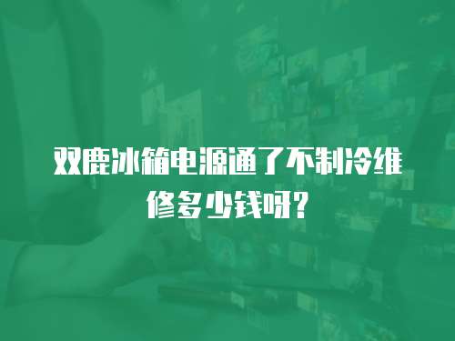 雙鹿冰箱電源通了不制冷維修多少錢呀？