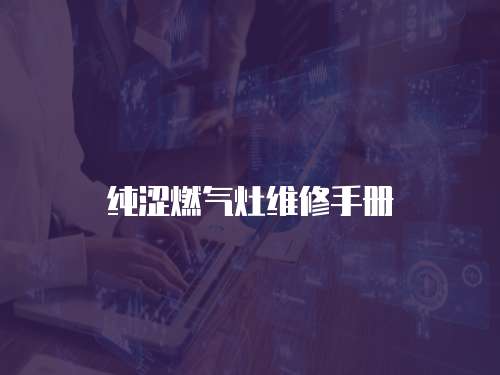 純澀燃?xì)庠罹S修手冊