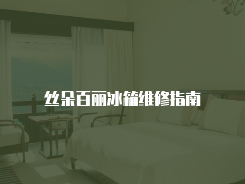 絲朵百麗冰箱維修指南