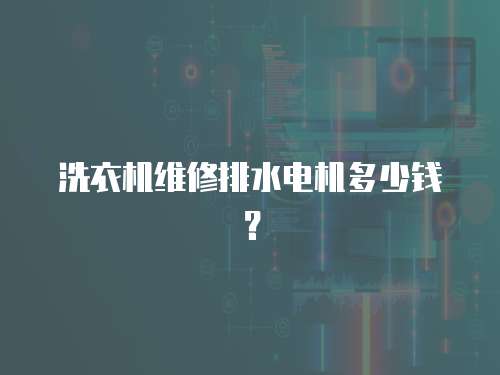 洗衣機維修排水電機多少錢？