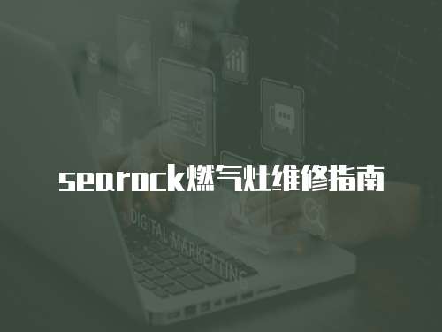searock燃?xì)庠罹S修指南