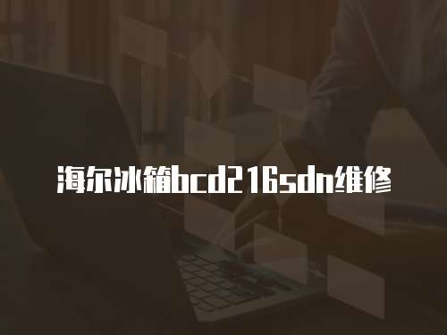 海爾冰箱bcd216sdn維修