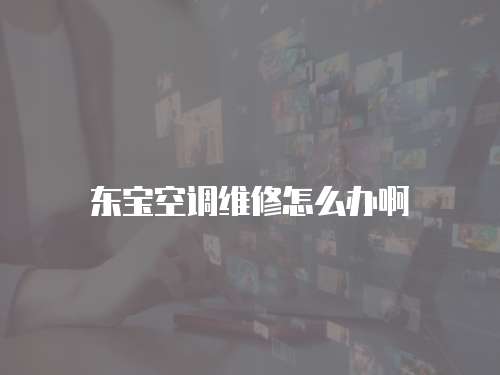 東寶空調維修怎么辦啊