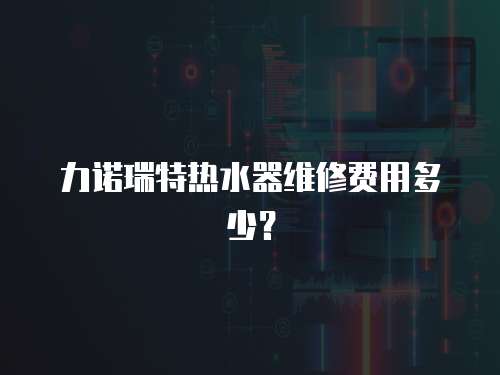 力諾瑞特?zé)崴骶S修費(fèi)用多少？