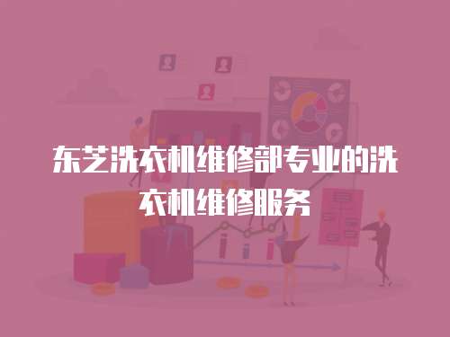 東芝洗衣機維修部專業的洗衣機維修服務