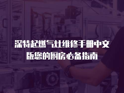 深特起燃氣灶維修手冊中文版您的廚房必備指南
